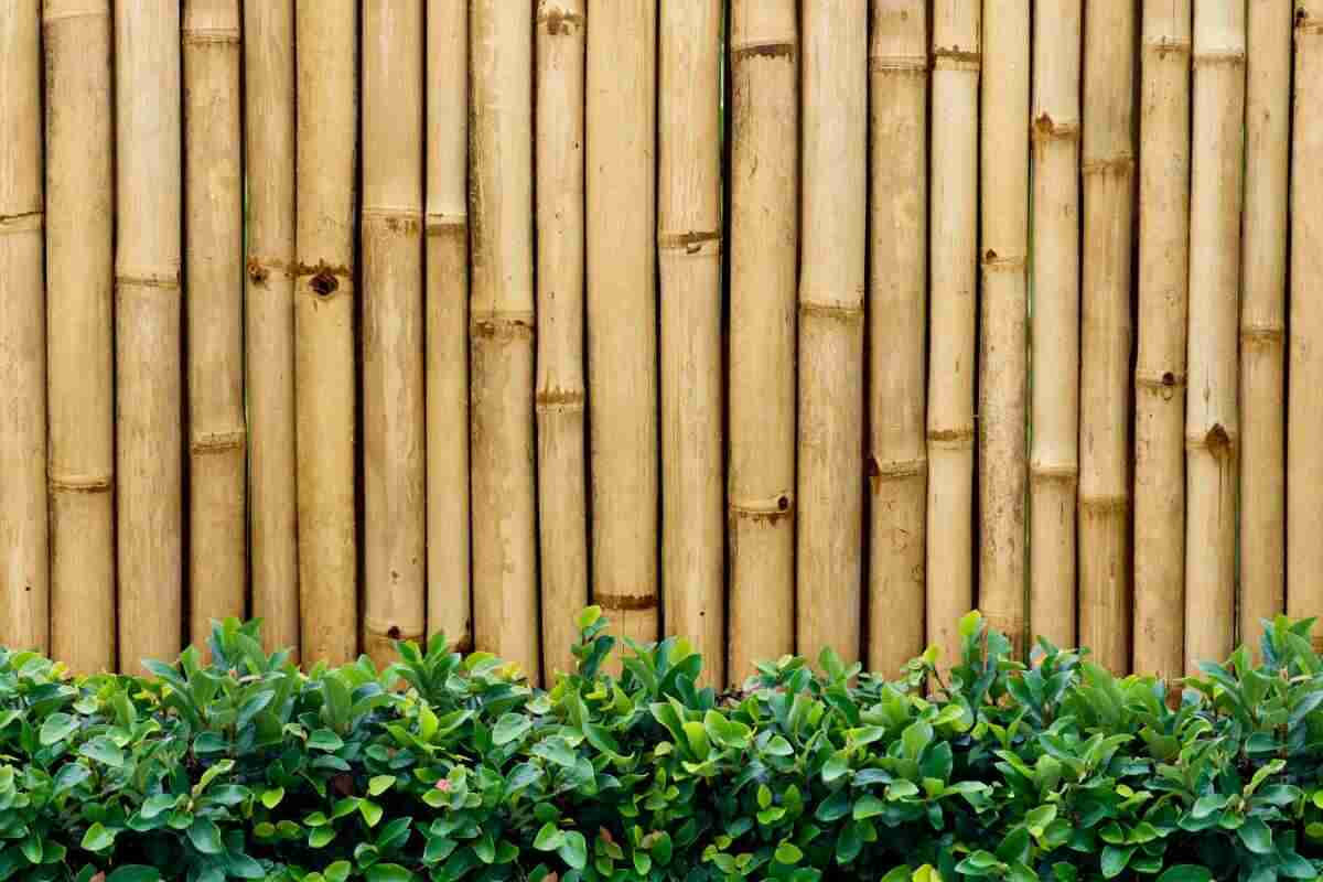 Bamboo Panels 2.4m X 1m